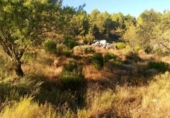 Suelo urbano en venta en la España, Nerpio, ref: TR396899 foto