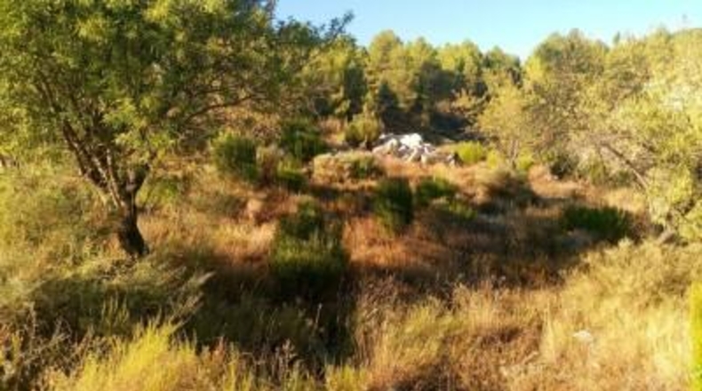 Albacete - Nerpio - 500m2