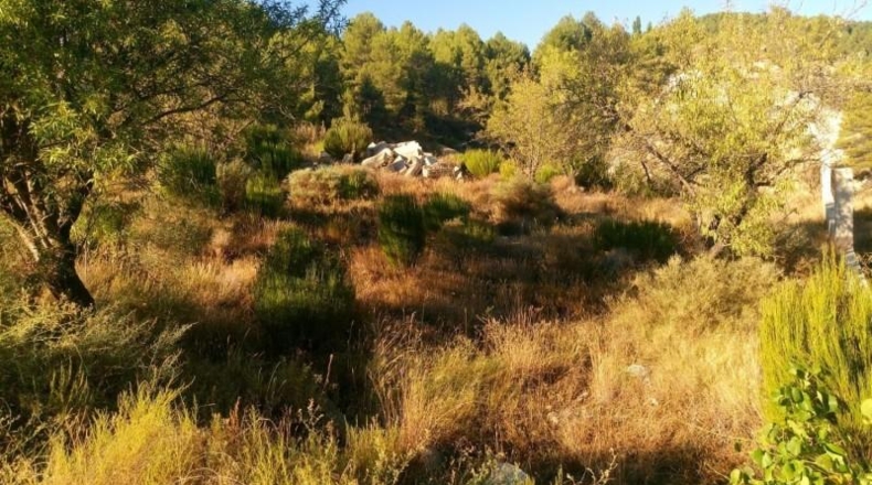 Albacete - Nerpio - 500m2