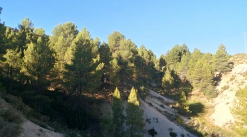 Albacete - Nerpio - 500m2