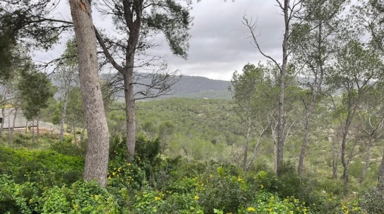 Barcelona - Canyelles - 744m2