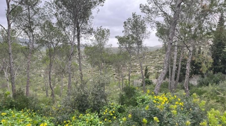 Barcelona - Canyelles - 744m2