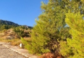 Suelo urbano en venta en la España, Nerpio, ref: TR396897 foto