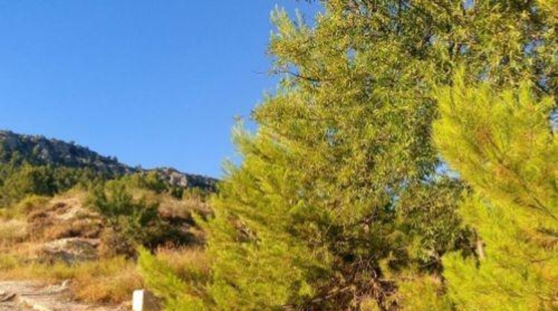 Albacete - Nerpio - 1014m2