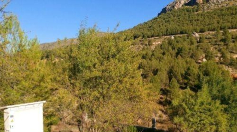 Albacete - Nerpio - 1014m2