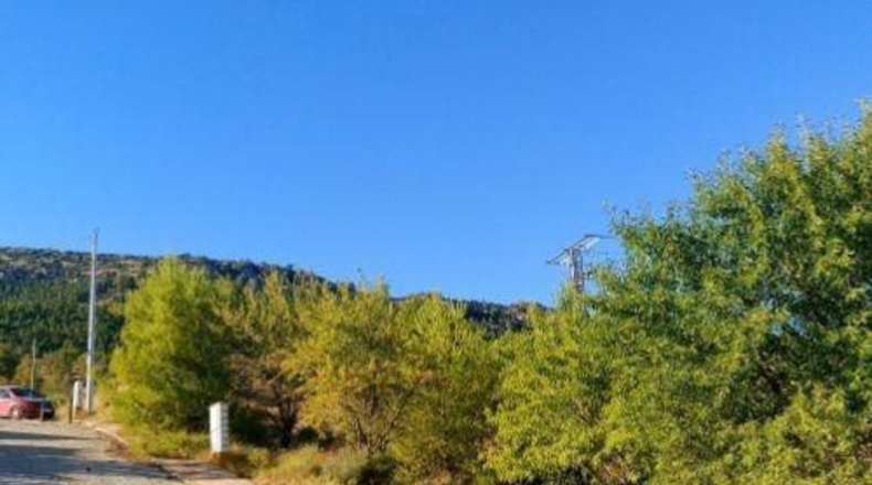 Albacete - Nerpio - 1014m2