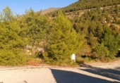 Suelo urbano en venta en la España, Nerpio, ref: TR396897 foto