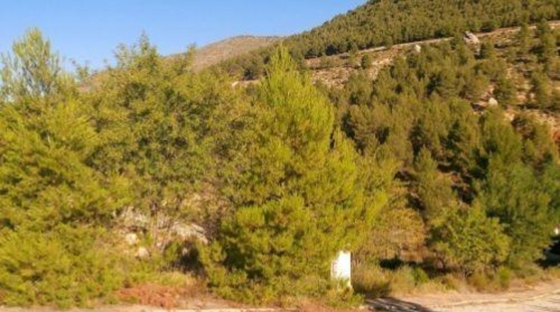 Albacete - Nerpio - 1014m2