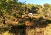 Suelo urbano en venta en la España, Nerpio, ref: TR396897 foto