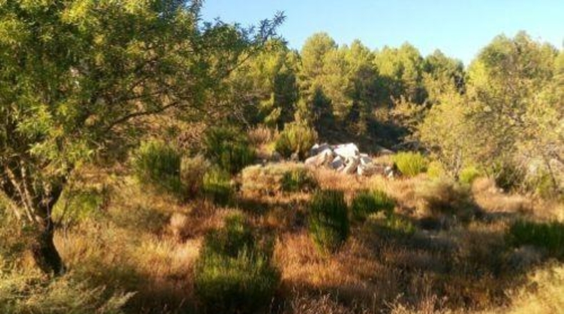 Albacete - Nerpio - 1014m2