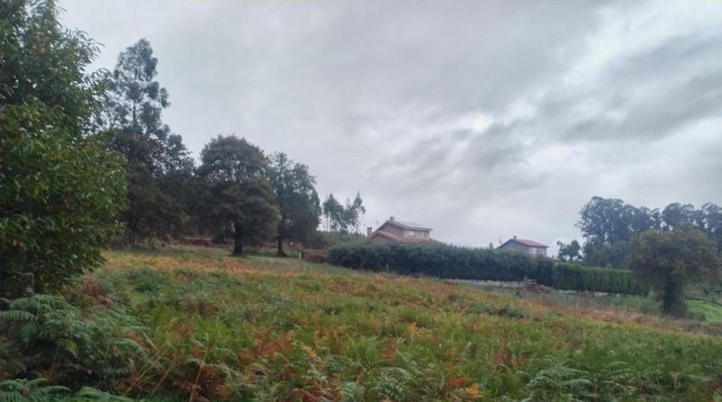 La Coruña - Abegondo - 1200m2