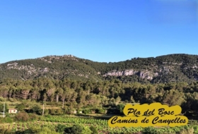 Canyelles 531&nbsp;m² 