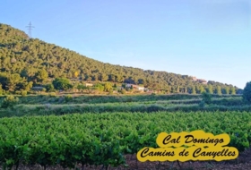 Canyelles 531&nbsp;m² 