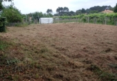 Detached villa with land for sale in Tomiño ref: TR396881 photo