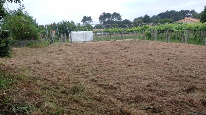 Pontevedra - O Seixo - 1300m2
