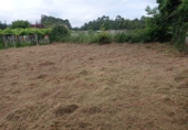 Detached villa with land for sale in Tomiño ref: TR396881 photo