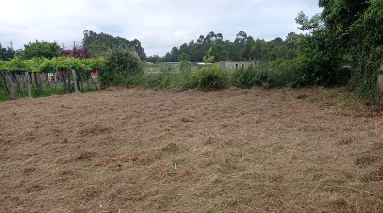 Pontevedra - O Seixo - 1300m2