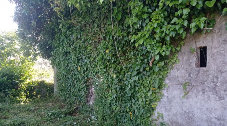 Pontevedra - O Seixo - 1300m2
