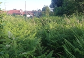 Detached villa with land for sale in Tomiño ref: TR396881 photo
