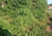 Detached villa with land for sale in Tomiño ref: TR396881 photo