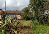 Detached villa with land for sale in Tomiño ref: TR396881 photo