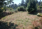 Detached villa with land for sale in Tomiño ref: TR396881 photo