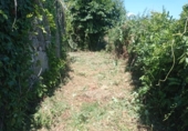 Detached villa with land for sale in Tomiño ref: TR396881 photo