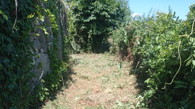 Pontevedra - O Seixo - 1300m2