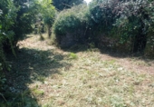 Detached villa with land for sale in Tomiño ref: TR396881 photo