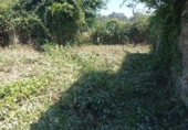 Detached villa with land for sale in Tomiño ref: TR396881 photo