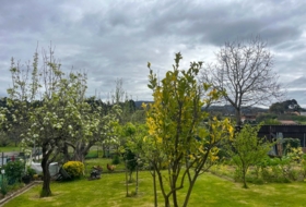 Oza 605&nbsp;m² 