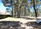 Terreno no urbanizable en venta en Jábaga ref: TR396809 foto