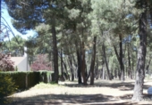 Terreno no urbanizable en venta en Jábaga ref: TR396809 foto