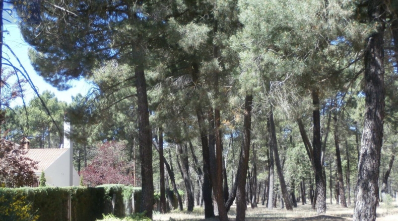 Куэнка - Cuenca - 10000m2