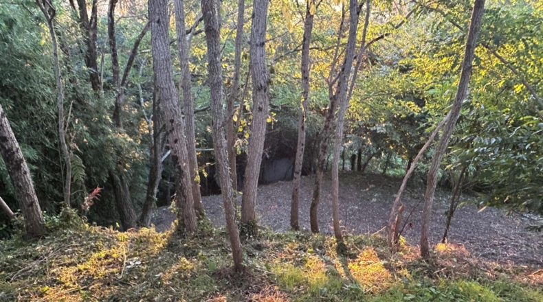 La Corunya - O Alqueidón - 1000m2