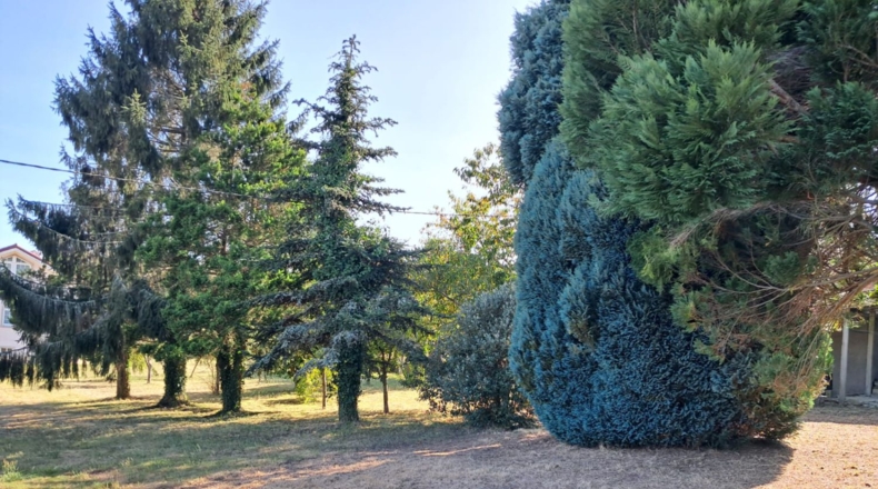 La Coruña - Chaves - 2500m2