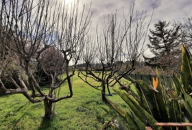 Plentzia 2800&nbsp;m² 