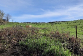 Plentzia 2800&nbsp;m² 