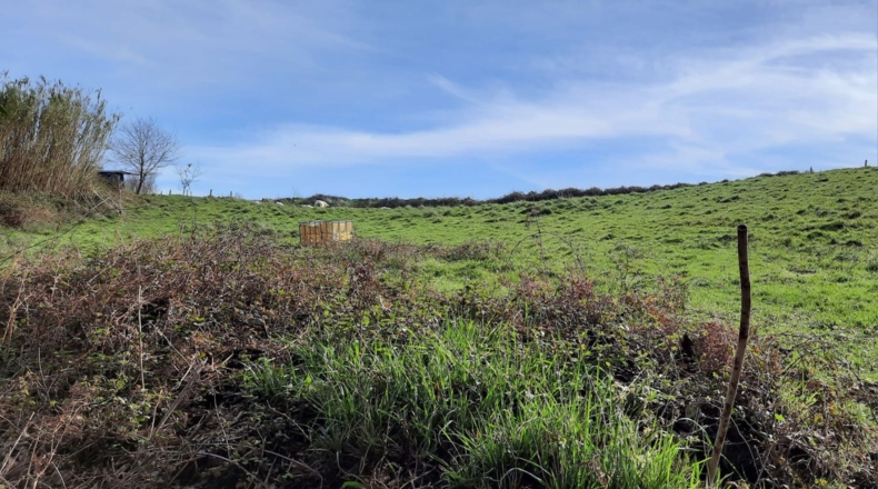 Biscaia - Plentzia - 2800m2
