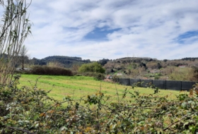 Plentzia 2800&nbsp;m² 