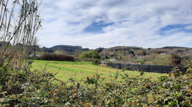 Biscaia - Plentzia - 2800m2