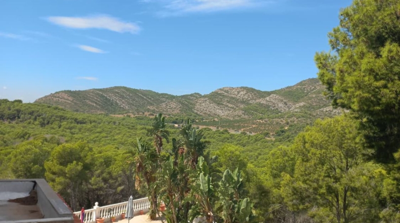 Castellón - Oropesa del Mar - 1160m2