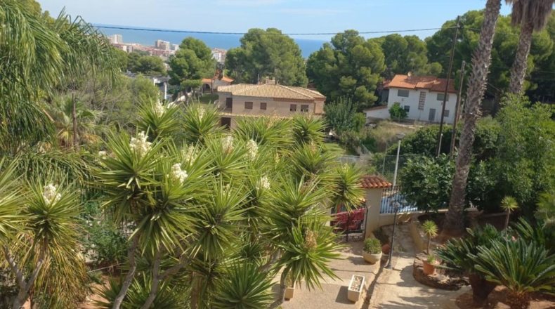 Castellón - Oropesa del Mar - 1160m2