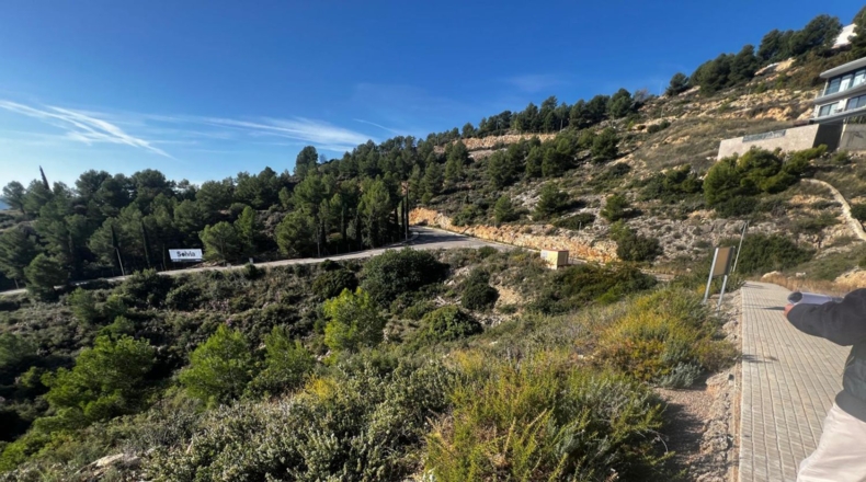 Castellón - Alcora - 1655m2