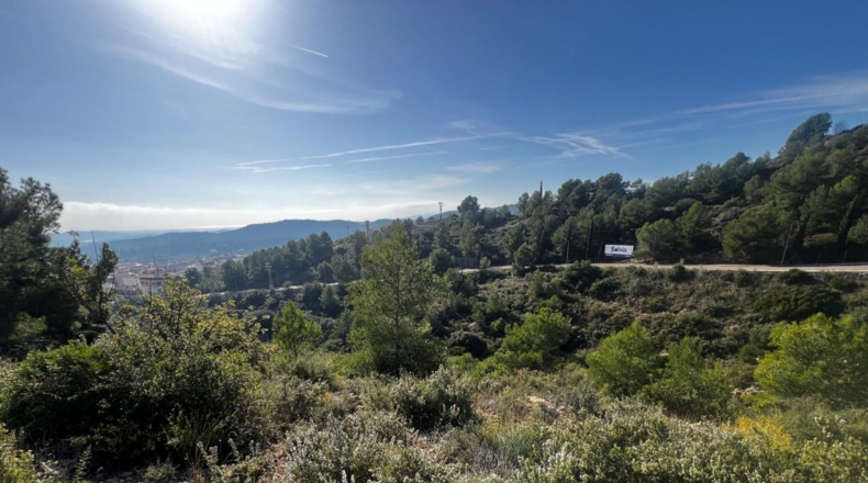 Castellón - Alcora - 1655m2