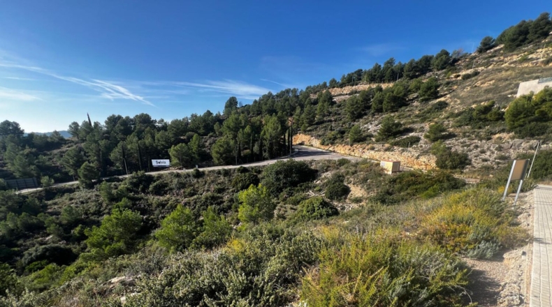 Castellón - Alcora - 1655m2