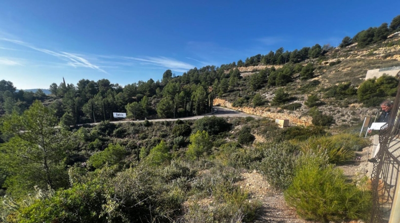 Castellón - Alcora - 1655m2