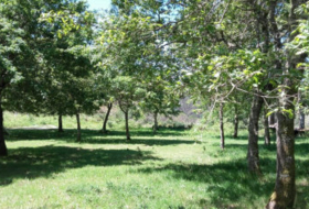 Cerdedo 1703&nbsp;m² 