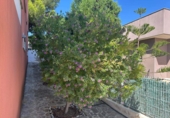 Villa con terreno en venta en Oropesa ref: TR396977 foto