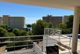 Foto 20
